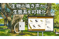 生物の鳴き声×AIで生態系を可視化する「KoeTurri®（コエチュリー）」正式リリース