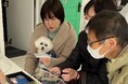 「おもいでケータイ再起動」KDDIとau損保でペットDAYを共同開催 ~イベントオリジナルフォトフレームをプレゼント!~