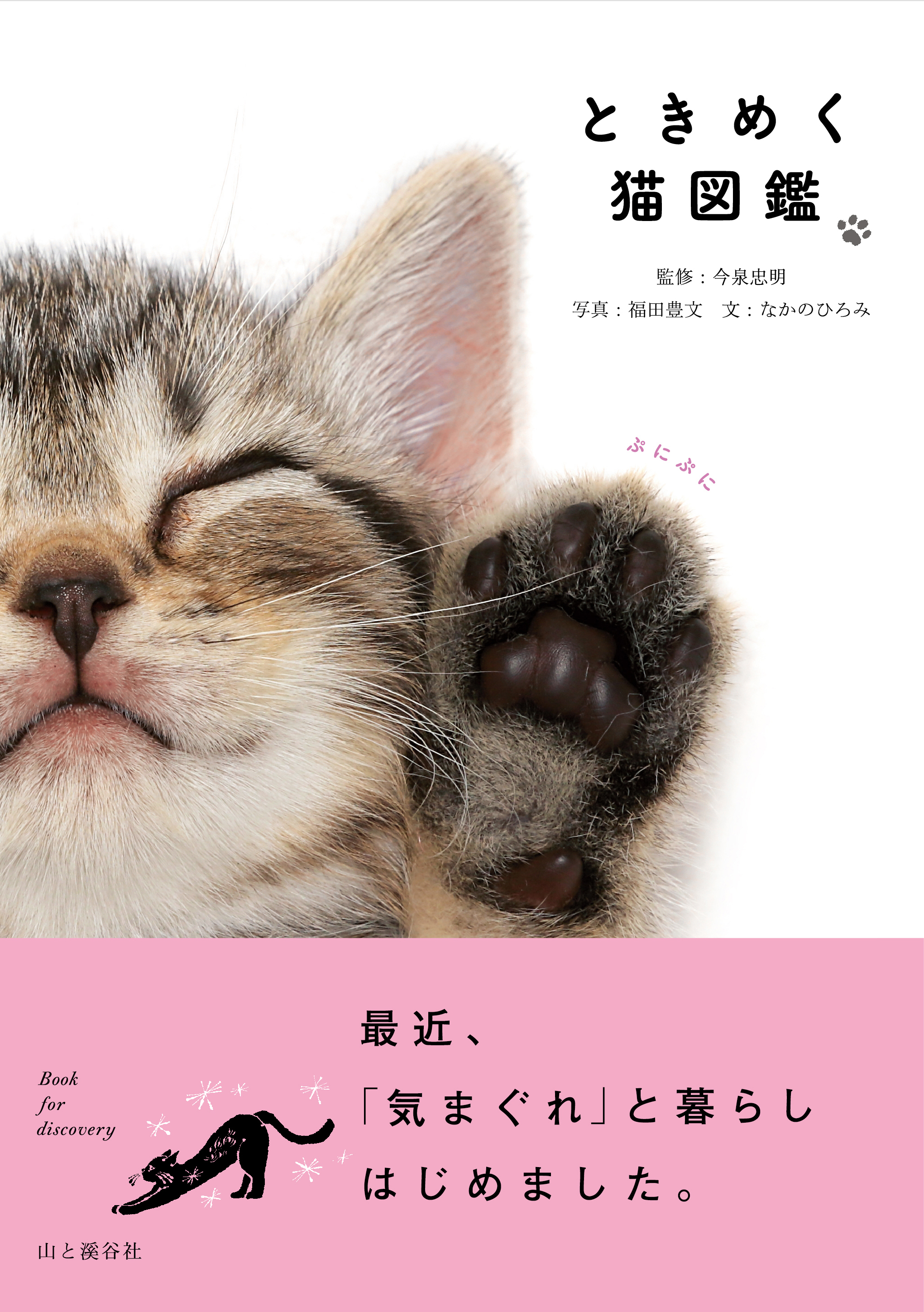 最高にかわいい ときめく 猫たちが大集合した新感覚の猫図鑑 ときめく猫図鑑 が猫 の日の2月22日に発売 株式会社インプレスホールディングスのプレスリリース