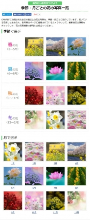 300種以上の花の写真を掲載 撮りたい花が見つかる 季節 月ごとの花の写真一覧 を Ganref にて公開 株式会社インプレスホールディングスのプレスリリース