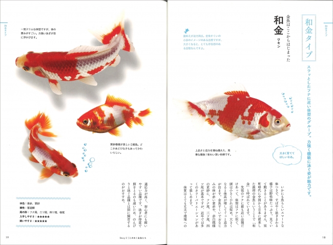 お気に入りの一匹を見つけてください 金魚の美しさを楽しむ ときめく金魚図鑑 発売 株式会社インプレスホールディングスのプレスリリース