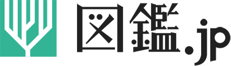 伝説の野鳥図鑑、保育社『原色日本野鳥生態図鑑』〈陸鳥編〉〈水鳥編