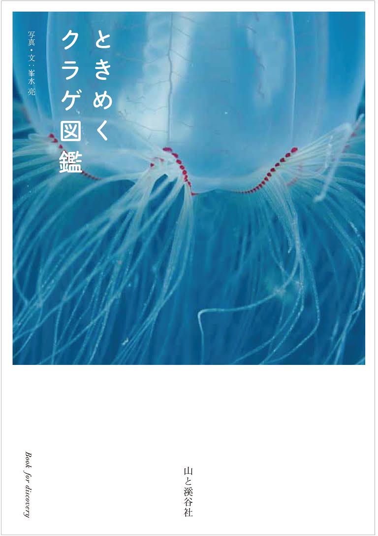 美しく幻想的な写真で楽しむ まるで海のなかでクラゲに出会ったかのよう一冊 書籍 ときめくクラゲ 図鑑 刊行 株式会社インプレスホールディングスのプレスリリース