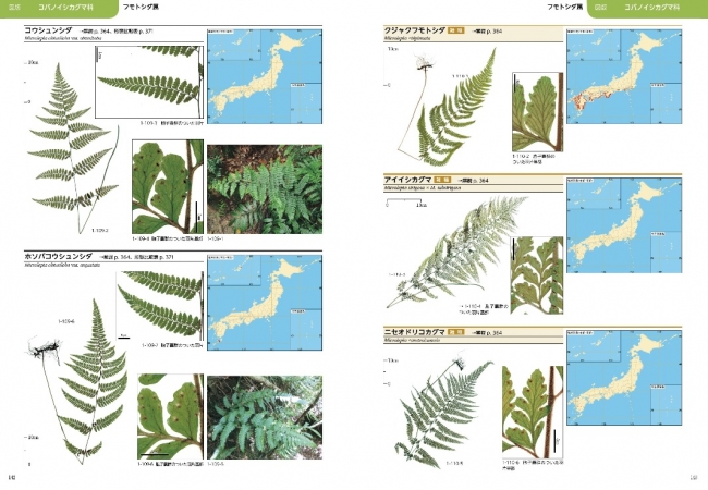 シダ植物図鑑の決定版大図鑑『日本産シダ植物標準図鑑Ⅰ・Ⅱ』の２冊と 