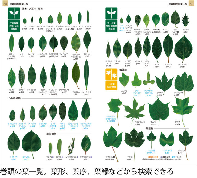 野生から植栽まで、北海道～九州で見られるほとんどの樹木を網羅した