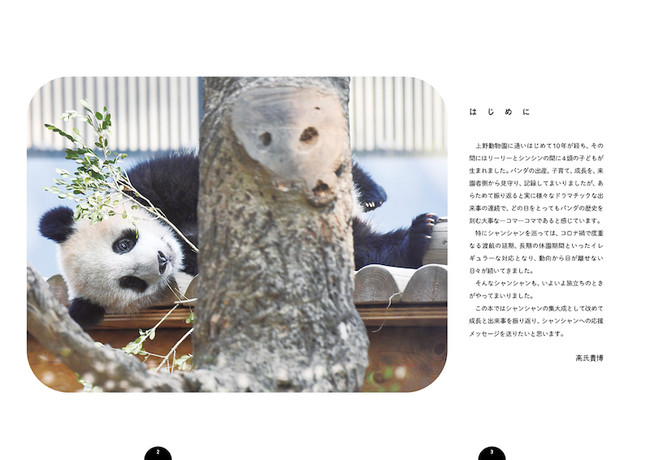 日本中に幸せを届けてくれる、パンダのシャンシャン写真集！『I LOVE