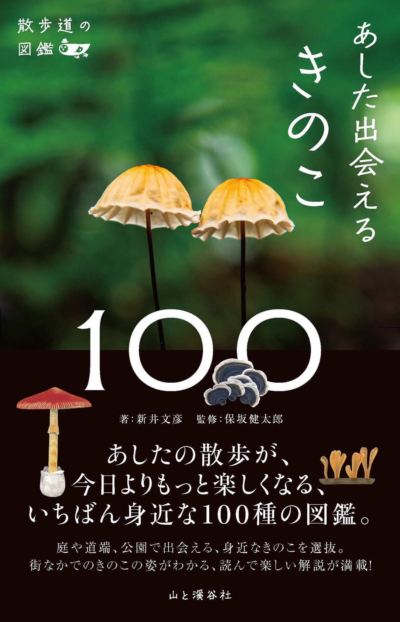 身近なきのこ100種を厳選 色とりどりの 綺麗で不思議なきのこと出会える図鑑が誕生 株式会社インプレスホールディングスのプレスリリース