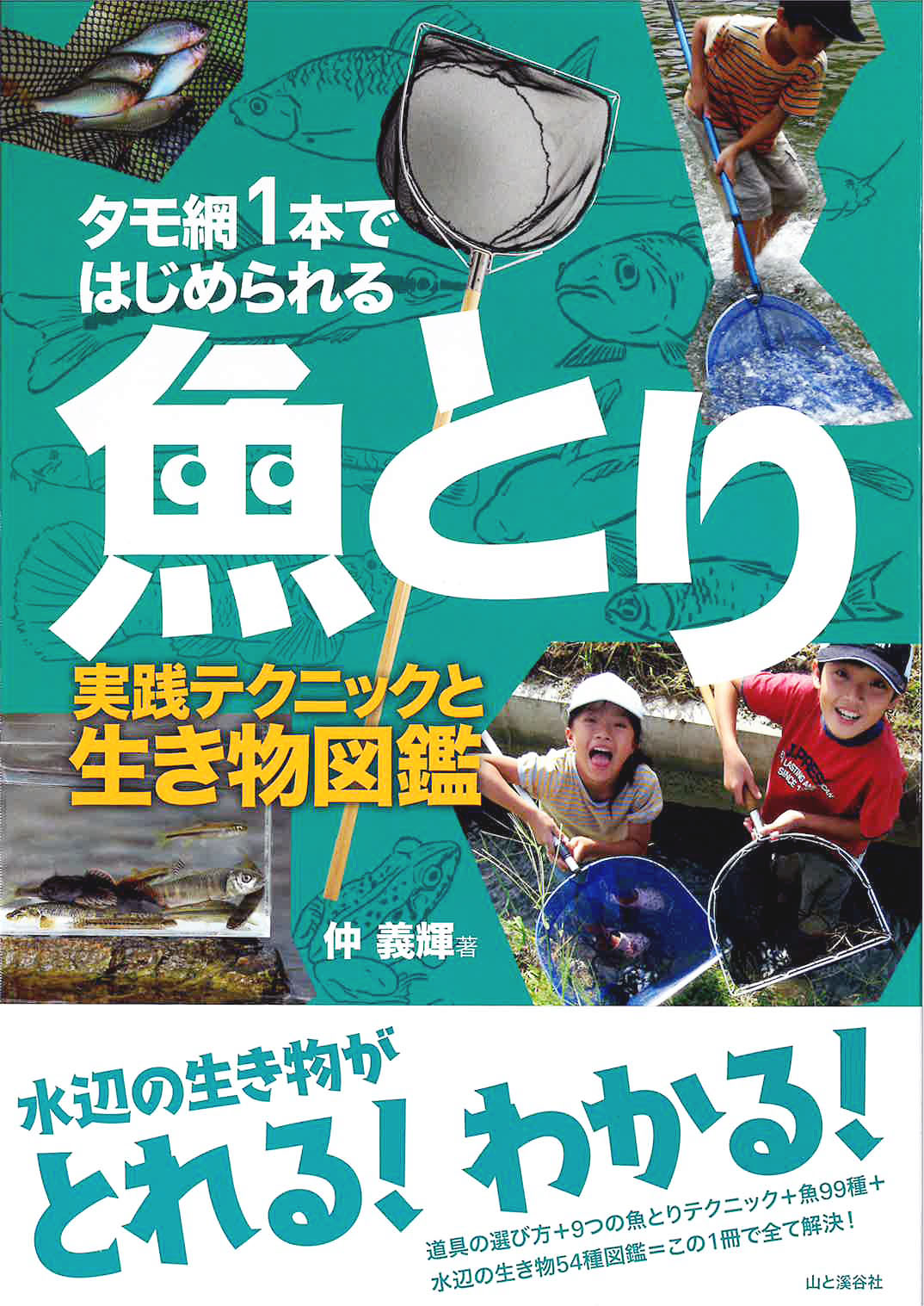 この夏にピッタリ 身近な水辺で魚が捕れる 道具選び テクニック 分かりやすい生き物図鑑が1冊に タモ網1本ではじめられる魚 とり 発売 株式会社インプレスホールディングスのプレスリリース