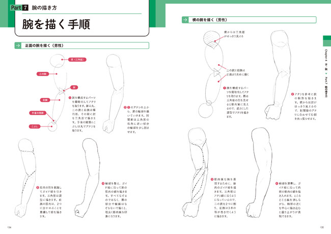 Chapter4 手／腕「腕を描く手順」