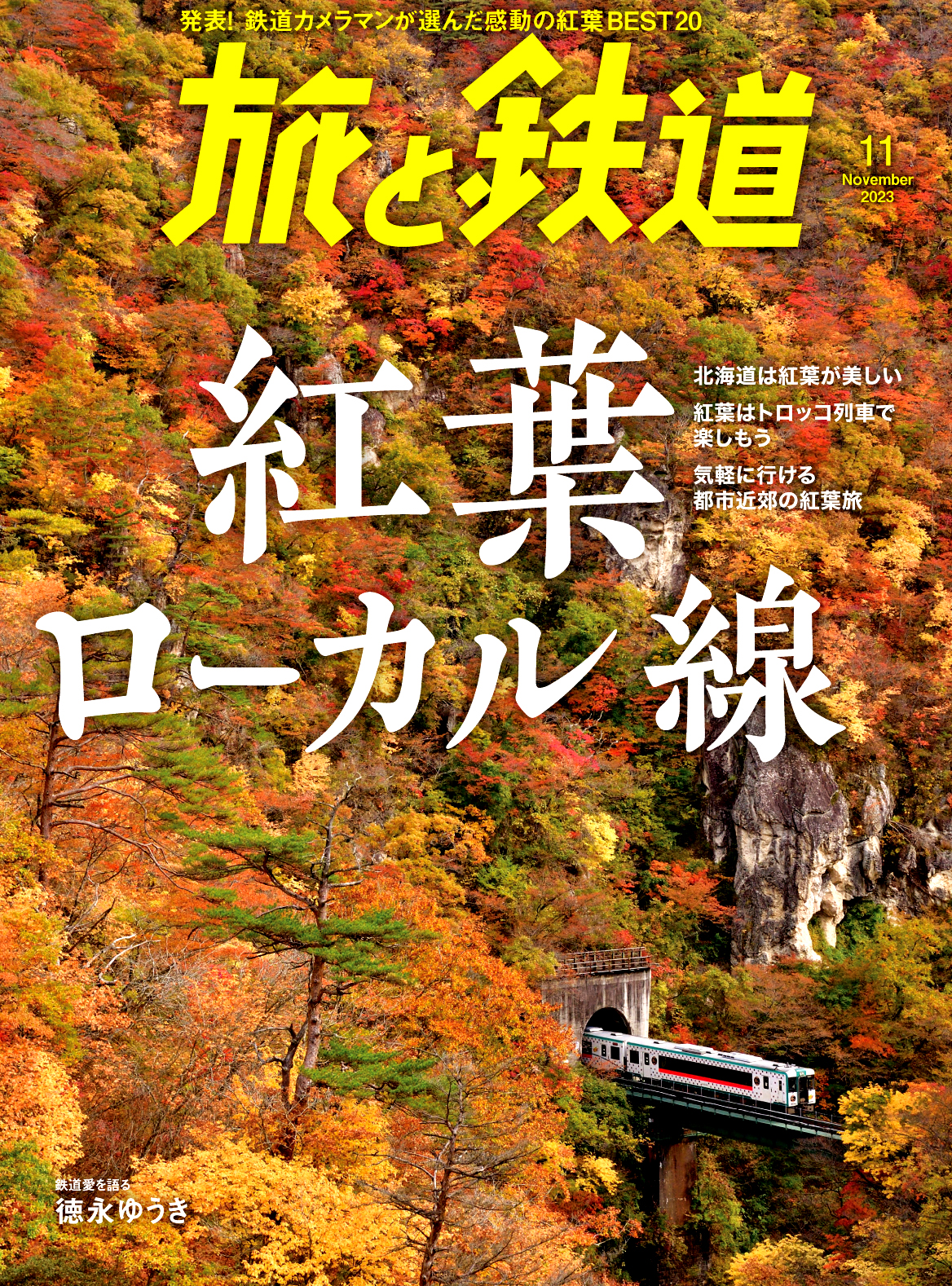 鉄道カメラマンが選んだ美しい紅葉BEST20を発表！丸ごと紅葉を特集した