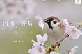 たくましく、美しい鳥たちのカレンダー『四季の野鳥』(イカロスカレンダー2025)発売