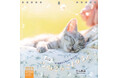 保護猫写真家・三吉良典さんのチャリティーカレンダー第2弾。卓上版カレンダー『保護猫チャリティーカレンダー こねこのこもりうた』を発売!