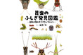 身近な昆虫の感動ベストセレクション、『昆虫のふしぎ発見図鑑 近所の虫のすごさコレクション』発刊!
