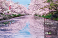 この春の撮影にも最適! 日本の絶景200スポットを収録した写真愛好家必見のガイドブック『日本の絶景写真ベスト200』を4月3日(木)に発売