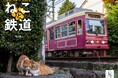 ネコは鉄道が好き? 線路際や駅前に佇むネコと1年を過ごせるイカロスカレンダー2026「ねこと鉄道」を発売