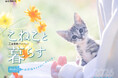 全国の“保護猫活動”を応援するチャリティーカレンダー『こねこと暮らす』が発売!