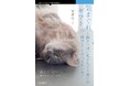 その「飽きっぽさ」も、人生のギフトだった――『気まぐれギフト 飽きっぽい私がたどり着いた“続ける”とのつきあい方』発行