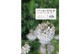 人気の園芸店「Lucy Gray & Lucy Gray botanisk」の店主がおすすめ植物を厳選！ 『小さな庭の植物図鑑 Lucy Grayのシックで美しい庭づくり』2026年3月31日発売