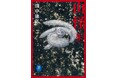 シリーズ累計37万部突破！！ ベストセラー『山怪』第4弾の文庫版ヤマケイ文庫『山怪 朱　山人が語る不思議な話』刊行！