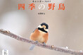 野鳥たちの姿と季節の織りなす情景を映し出す写真家・中野耕志氏『四季の野鳥（イカロスカレンダー2027）』を発売