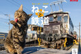 ねことローカル線が織りなす温かな情景で1年を彩る！ 雑誌『旅と鉄道』の長年続く人気連載から誕生した壁掛けカレンダー第3弾『ねこと鉄道（イカロスカレンダー2027）』発売