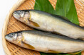 高知県内最後の鮎養殖場を、食べて応援しよう！　ECサイト「高知かわうそ市場」で販売！