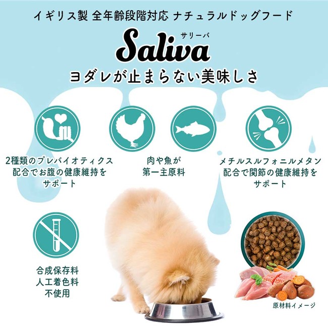小型犬のためのドッグフード Saliva サリーバ を発売 株式会社yggdrasillのプレスリリース
