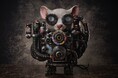 【銀座 蔦屋書店】AIの知能とアーティストの手作業を融合させたプロジェクト「AI KIMURA」の日本初個展を2月21日(金)より開催。