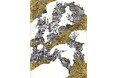 【京都 蔦屋書店】建築家と作家ふたつの顔を持つ、光嶋裕介のドローイング・版画展「幻想都市風景2025 KYOTO」を5月20日(火)より開催。