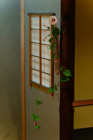 花／木槿=宗旦・団扇縷 紅草　器／鮎籠 宗旦木槿は底紅の中小輪で、千宗旦が茶席に初めて入れたとされる。 縷紅草の名は花色が赤いという意味で、団扇縷紅草は丸葉縷紅草とも呼ばれる。