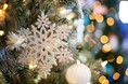 楽天インサイト、「クリスマスに関する調査」結果を発表