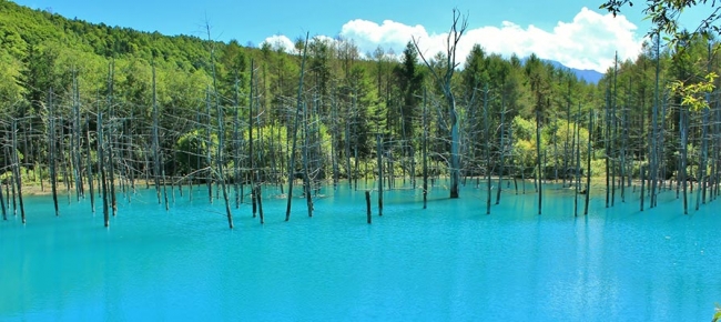 青い池（北海道）