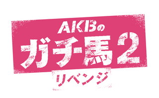 【非売品】AKBのガチ馬2リベンジ オフィシャルガイドブック 倉持明日香