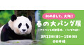 【3日間限定】祝・大阪初開催！ 「初めまして、大阪！ 春の大パンダ展」を開催！
