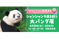 【3日間限定】写真集『シャンシャン在東京――記憶に残るかけがえのない日々』出版記念「シャンシャン9歳を祝う大パンダ展」開催が決定！！