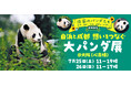 【2日間限定】写真集『浜家のパンダたち――良浜・結浜・彩浜、成都からの便り』出版記念「白浜と成都　想いをつなぐ大パンダ展」開催が決定！！