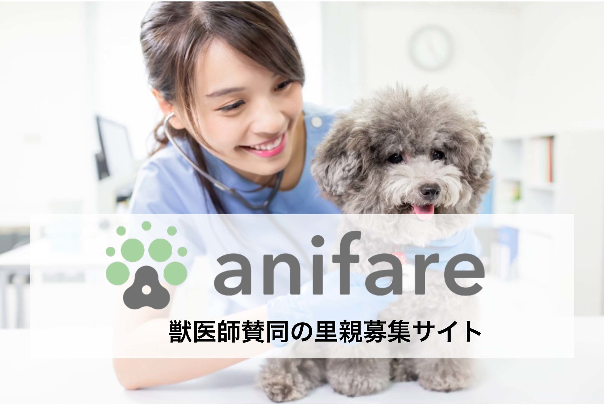 Anifareが保護犬の オンライン譲渡会 を千葉県成田市で開催します 株式会社anifareのプレスリリース