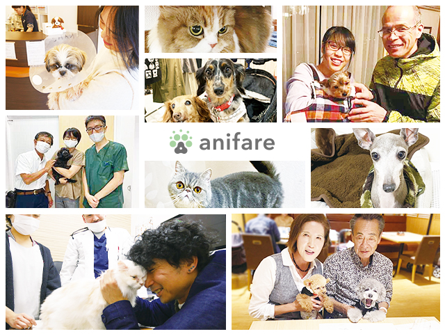 獣医師賛同の里親募集サイト「anifare」（アニフェア）が保護犬・保護 