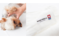 今治のタオルメーカーより「愛犬のためのリラクゼーションブランド」を発売予定。試作品のテストモニターを募集。