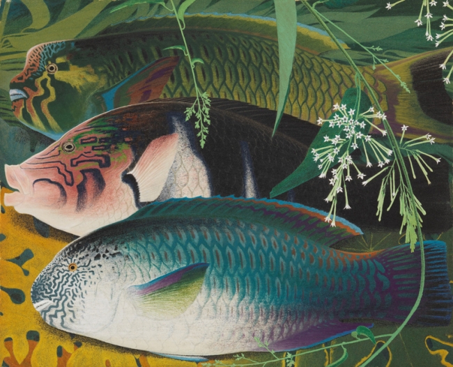 田中一村「熱帯魚三種」昭和48年（1973）岡田美術館蔵 (C)2017 Hiroshi Niiyama