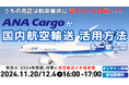 うちの商品は航空輸送に適さないと思っていませんか?|株式会社ANA Cargo様登壇「第1回 荷主企業向け航空輸送活用セミナー」を2024年11月20日(水)開催|船井総研ロジ株式会社