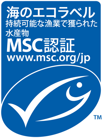 世界地図 かさ張ら 貴重！！銅板 プレス