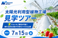【夏のいちご栽培】千葉県印西市の太陽光利用型植物工場で見学ツアー開催