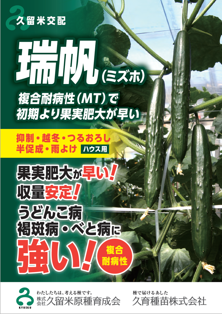 きゅうりの新品種 複合耐病性 瑞帆 ミズホ が発売開始 株式会社 久留米原種育成会のプレスリリース