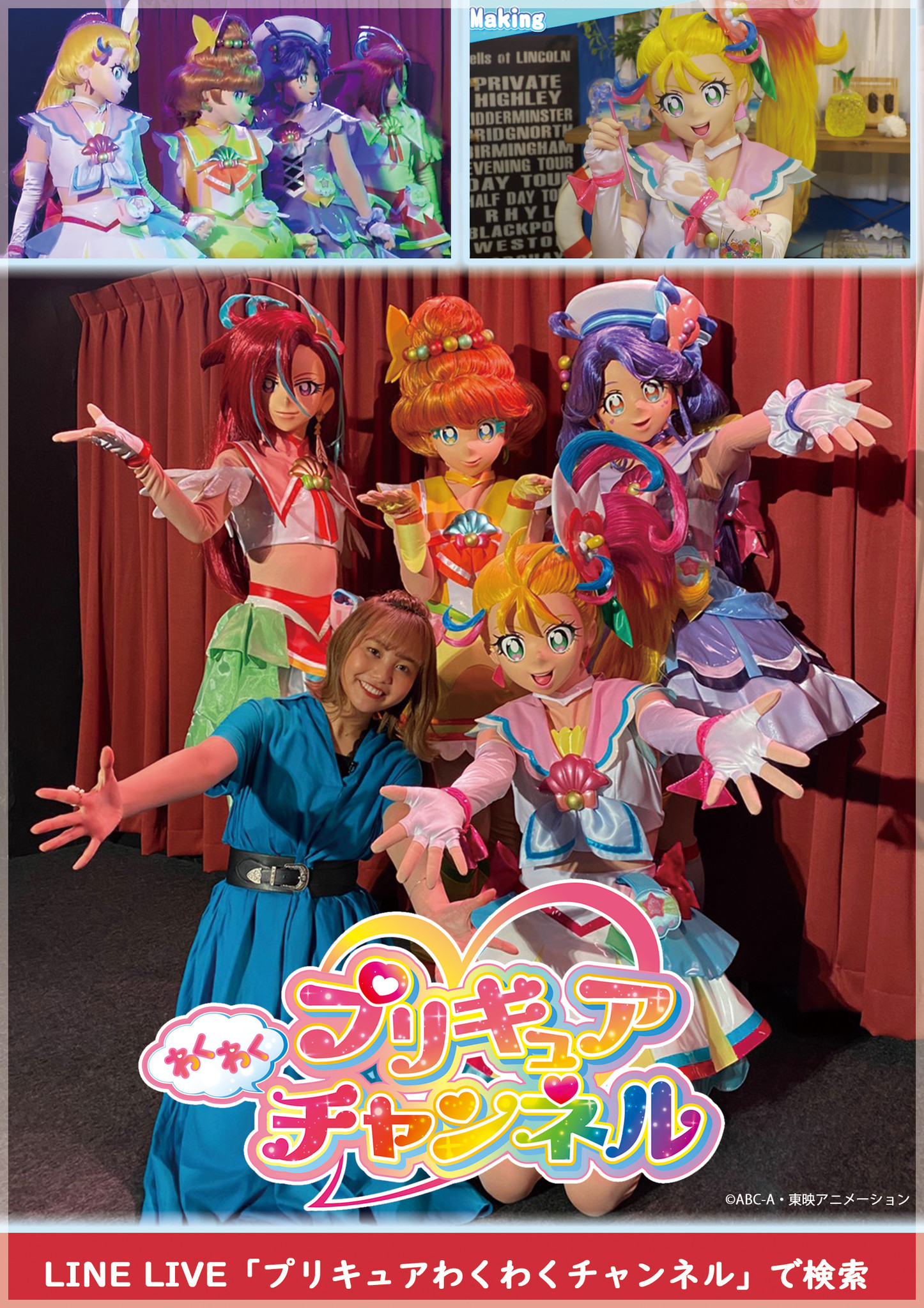 ソフトパープル プリキュア劇場版、ライブ 28本セット