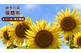 「ファミマふるさと納税」に新たに神奈川県座間市が参画！～9/15よりファミマふるさと納税の新規会員登録キャンペーンを開始～