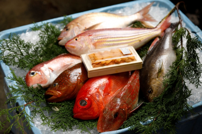 市場特選鮮魚　 10,000円セット