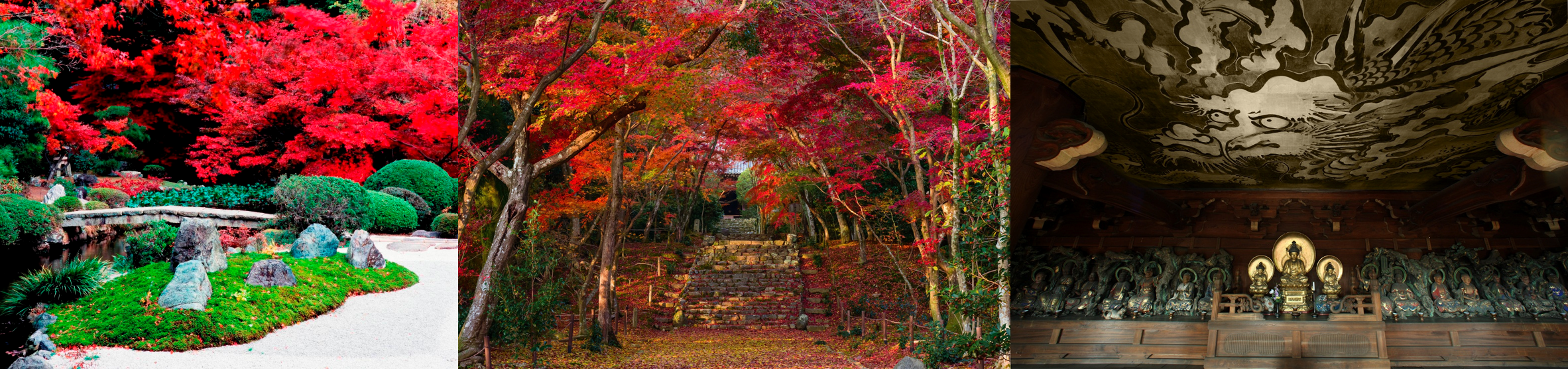 非公開の文化財や紅葉の映える庭園を期間限定で今年も公開 年 京都 秋の特別公開 金戒光明寺 浄住寺を年11月より順次公開 京都市のプレスリリース