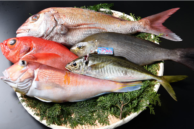 市場厳選！天然魚セット２　１０，８００円（税込）