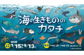 港区立みなと科学館 2026 夏の企画展「海の生きもののカタチ」開催について